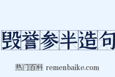 毁誉参半造句是什么意思的图片